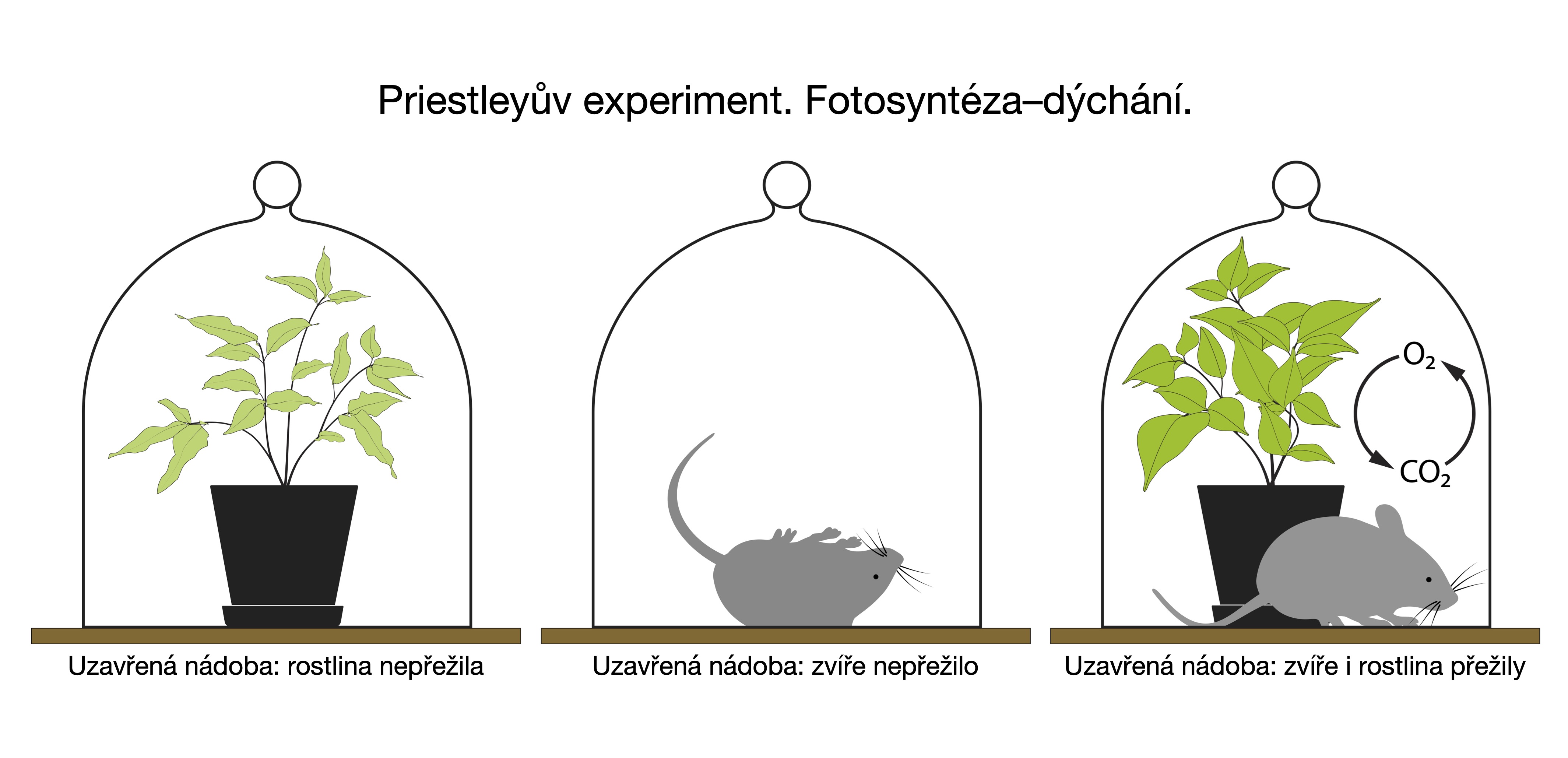 CO2 a život
